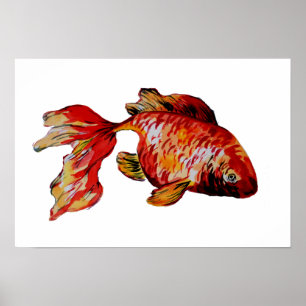 Röd guldfisk poster