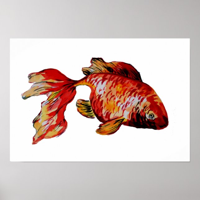 Röd guldfisk poster (Framsidan)