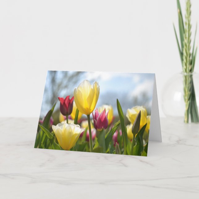 Röd, Gult och Rosa Tulips i Sol Helgkort (Framsida)