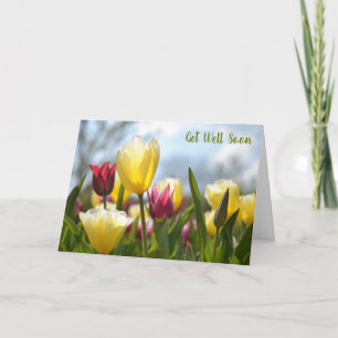 Röd, Gult och Rosa Tulips i Sol kommer snart Kort