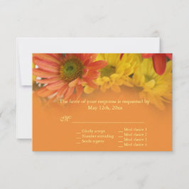 Röd, gult, orange daisy blommor OSA bröllop