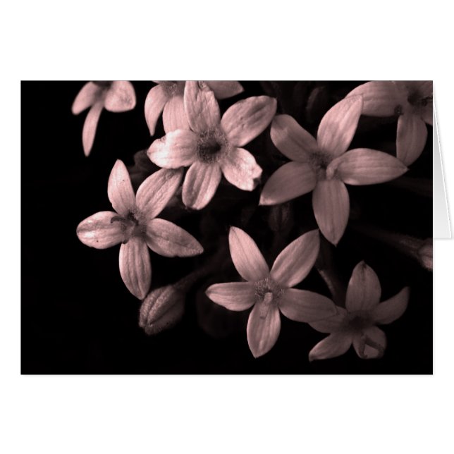 röd hälsningskort (Framsidan Horizontal)