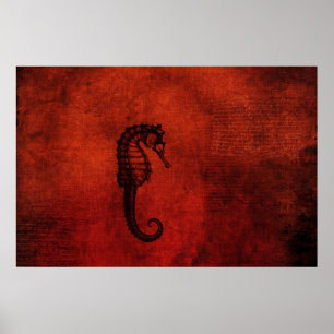 Röd havsdrake poster