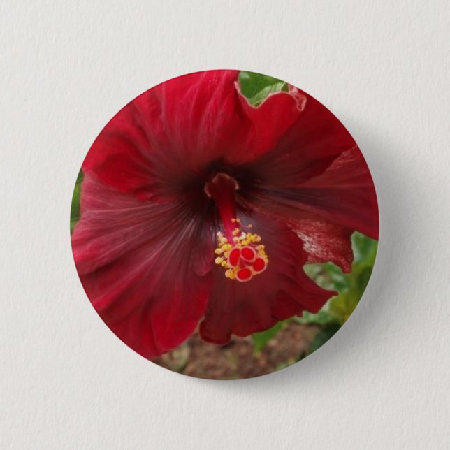 röd hawaii hibiskusväxt knapp (Framsida)
