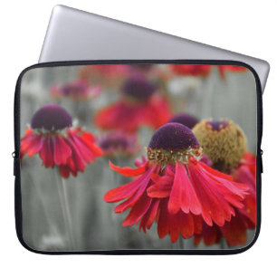 Röd Helenium i selektiv Färg - Desaturerad Laptop Fodral