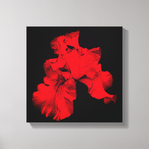 Röd Hett Bearded Iris Flower Abstrakt Canvastryck