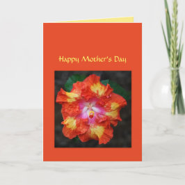 Röd Hett Hibiscus Mors dag Card Kort