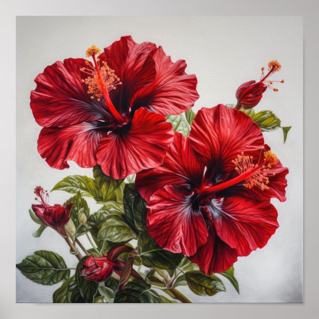 Röd Hibiscus Flower Art Print Poster (Framsidan)