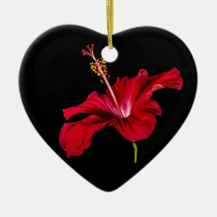 Röd Hibiscus Flower Side View Julgransprydnad Keramik