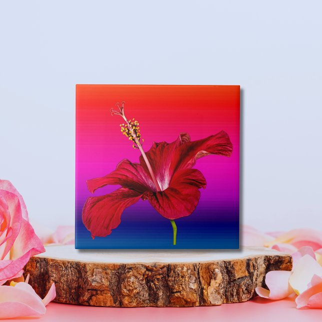 Röd Hibiscus Flower Side View Kakelplatta (Red Hibiscus Flower Side View Tile)