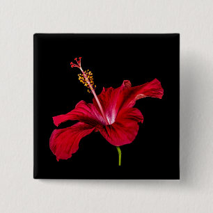 Röd Hibiscus Flower Side View Knapp