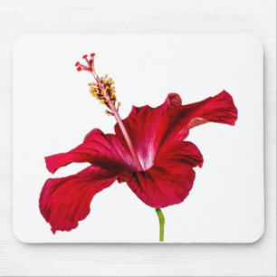 Röd Hibiscus Flower Side View Musmatta
