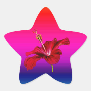 Röd Hibiscus Flower Side View Stjärnformat Klistermärke