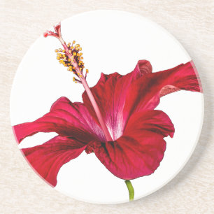 Röd Hibiscus Flower Side View Underlägg