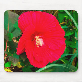 Röd Hibiscus Musdyna Musmatta