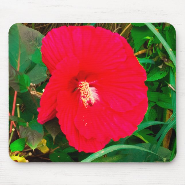 Röd Hibiscus Musdyna Musmatta (Framsidan)