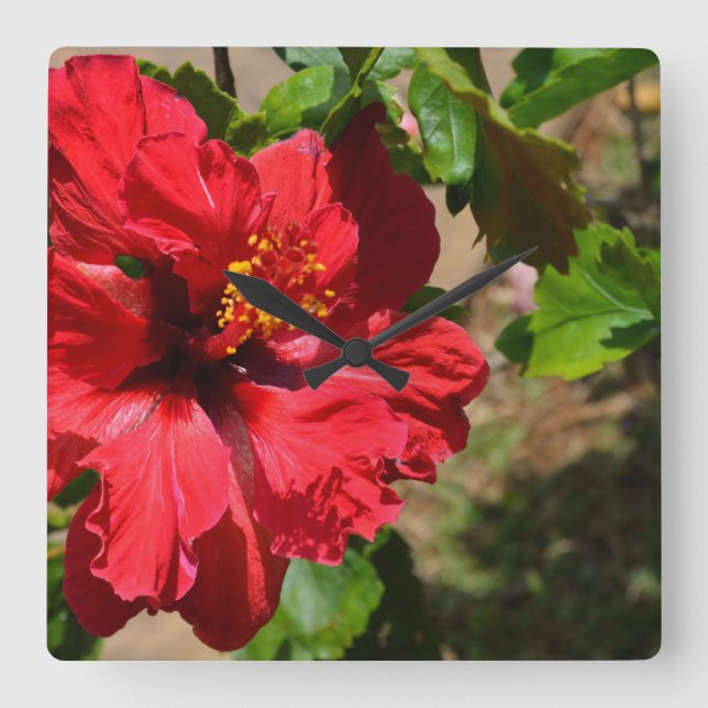 Röd Hibiscus väggklocka (Framsida)
