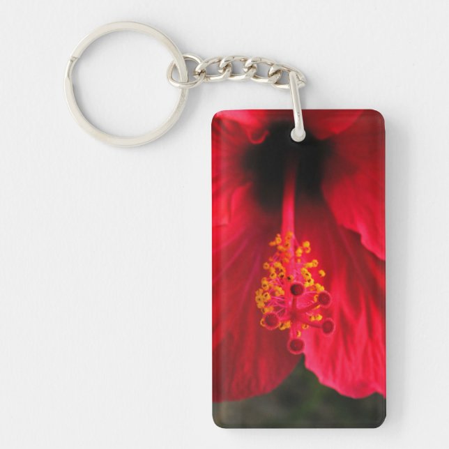 Röd hibiskus (Framsidan)