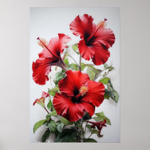 Röd Hibiskus Blomma Konsttryck Affisch