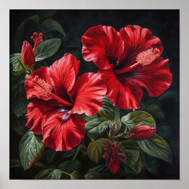 Röd Hibiskus Blomma Konsttryck Poster (Framsidan)