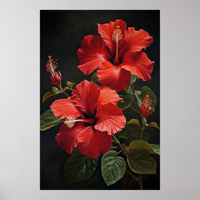 Röd Hibiskus Blomma Konsttryck Poster (Framsidan)