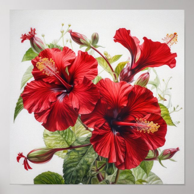 Röd Hibiskus Blomma Konsttryck Poster (Framsidan)