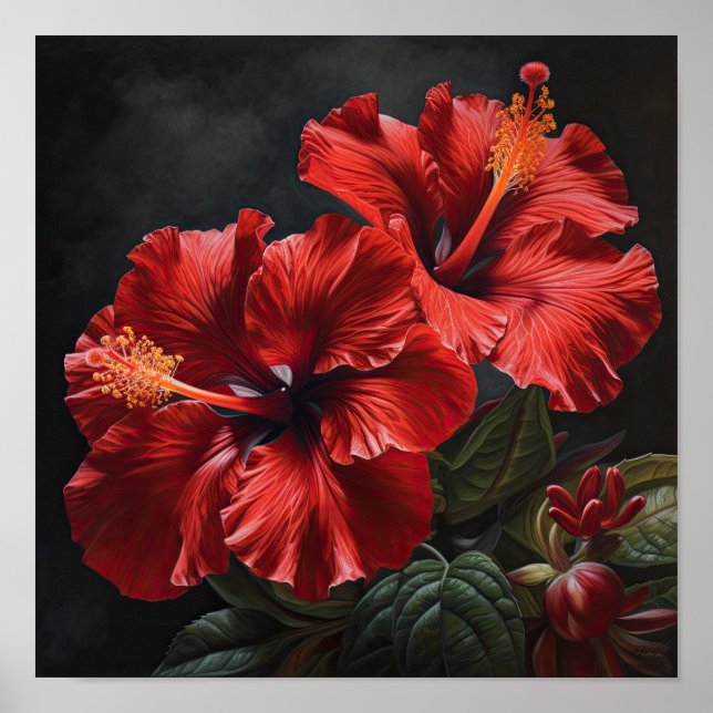 Röd Hibiskus Blomma Konsttryck Poster (Framsidan)