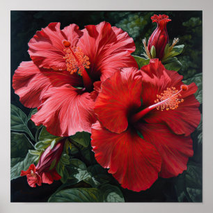 Röd Hibiskus Blomma Konsttryck Poster