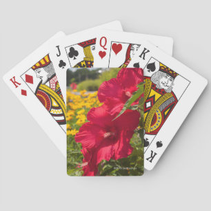 Röd hibiskus casinokort