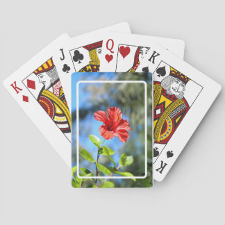 Röd hibiskus casinokort