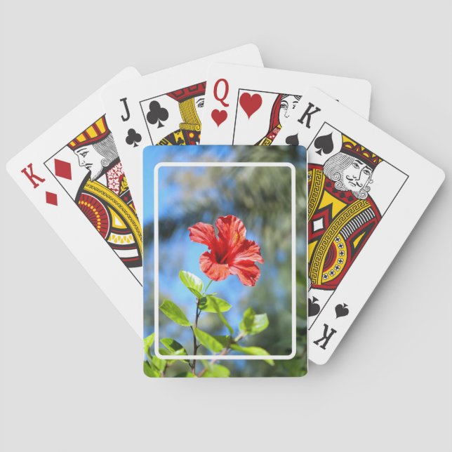 Röd hibiskus casinokort (Baksidan)