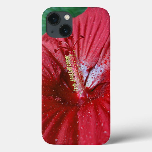 Röd hibiskus med regndroppar (Baksida)