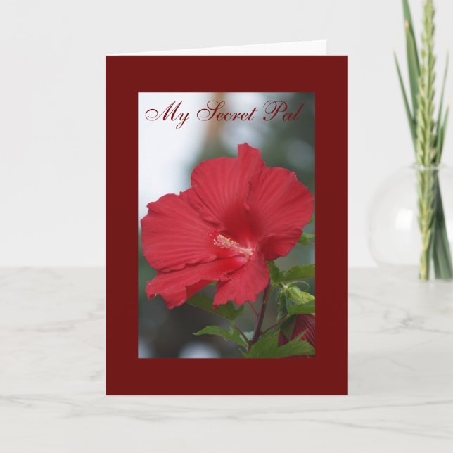 Röd hibiskus, min hemliga Pal Kort (Framsida)