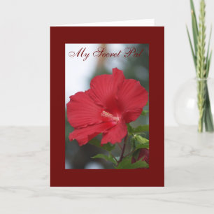 Röd hibiskus, min hemliga Pal Kort