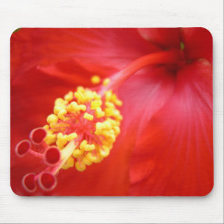 Röd hibiskus Mousepad Musmatta