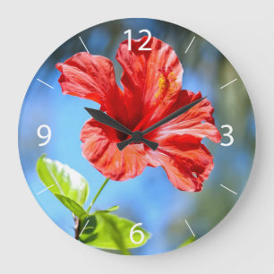 Röd hibiskus stor klocka