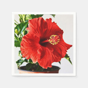 Röd hibiskusblomma pappersservett