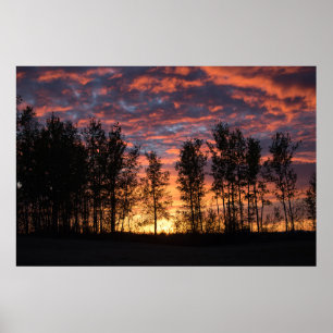 Röd himmel på nattaffischen poster