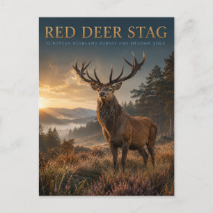 Röd hjort Highland äng DJUR Vykort