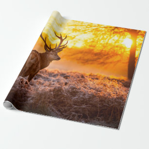 Röd Hjort på morgonen Sol. hjort,djur,vilda djur,n Presentpapper