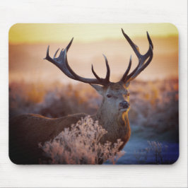 Röd Hjort på Tidigt-morgonen, mussla Musmatta