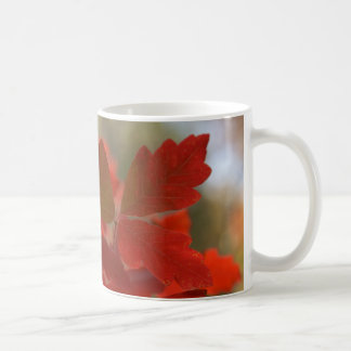 Röd höst lövmugg kaffemugg
