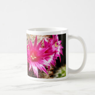Röd hövdad irländarekaktus, anpassade! kaffemugg