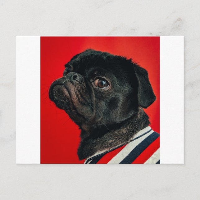 röd hund vykort (Framsida)