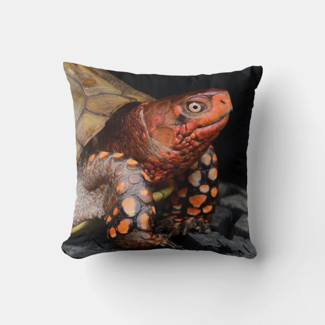 Röd huvud, Östra Box Turtle Kudde (Framsida)