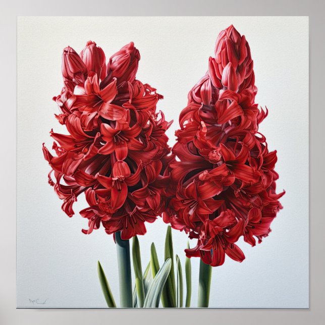 Röd hyacint Flower Art Print Poster (Framsidan)