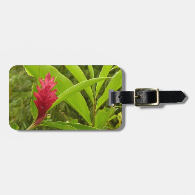Röd ingefärsblomma (Alpinia) Tropisk Bagagebricka (Horisontell Framsida)