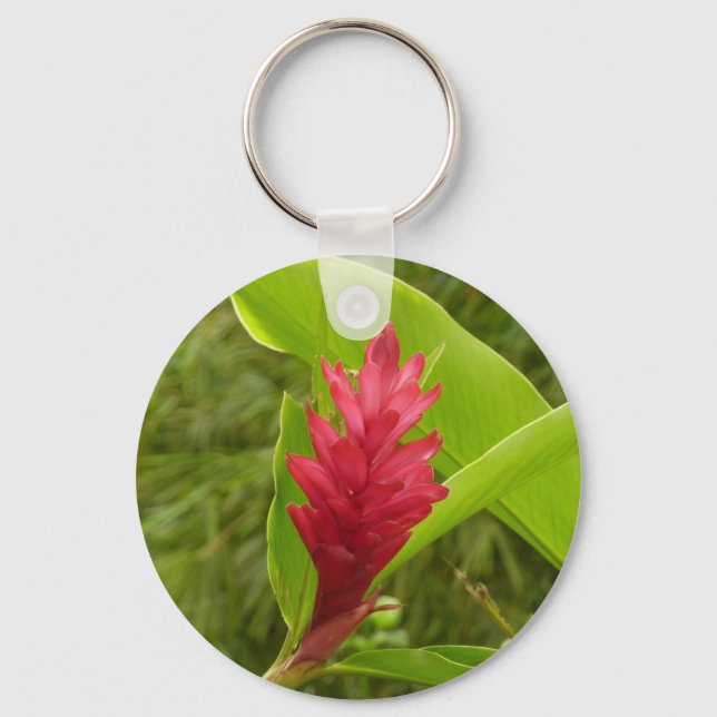 Röd ingefärsblomma (Alpinia) Tropisk Nyckelring (Framsida)