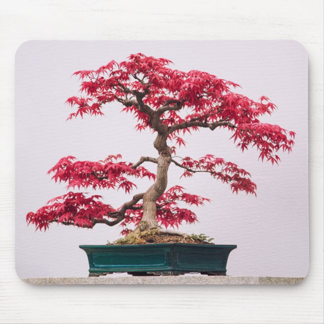 Röd japansk lönn Bonsai-träd Musmatta (Framsidan)