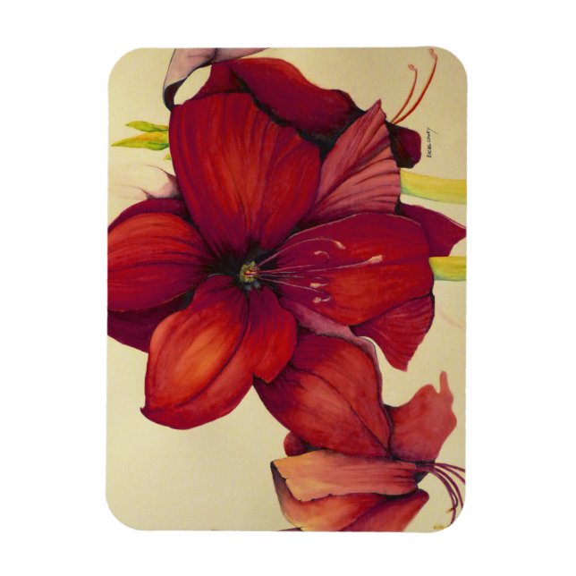 Röd jul Amaryllis Photo Magnet (Vertikal)